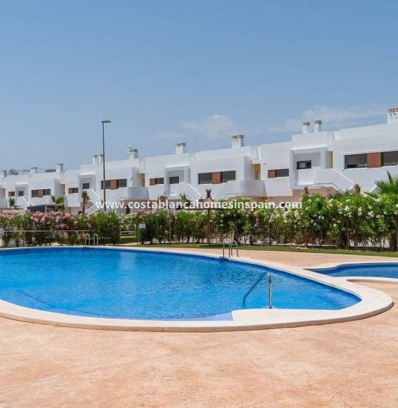 Townhouse - Nýbygging - Orihuela - Vistabella Golf