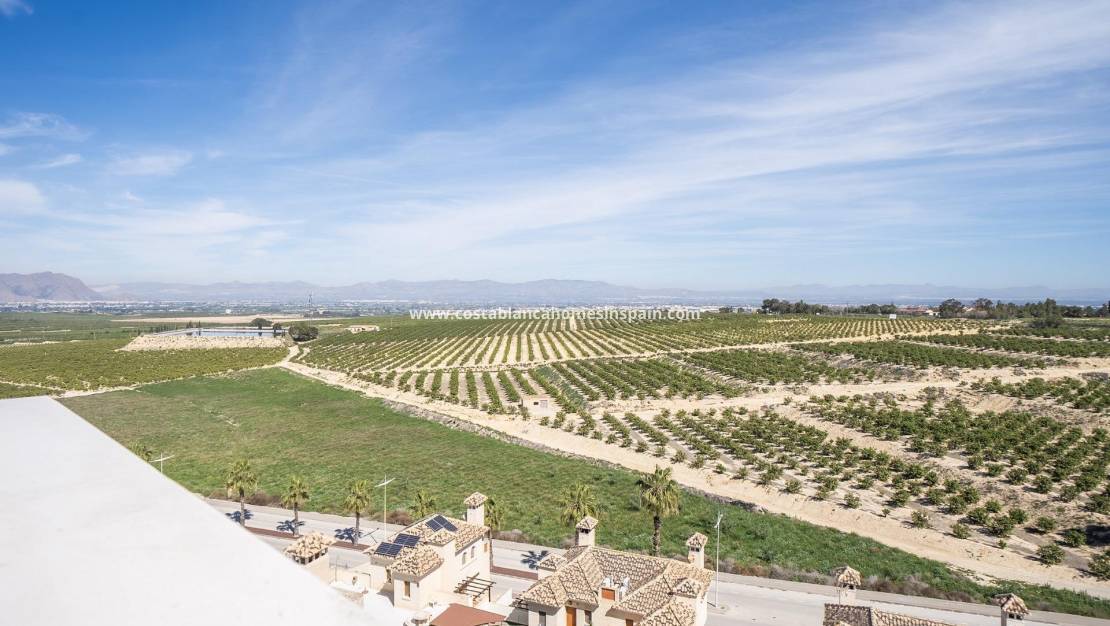 Új építésű -  - Algorfa - La finca golf