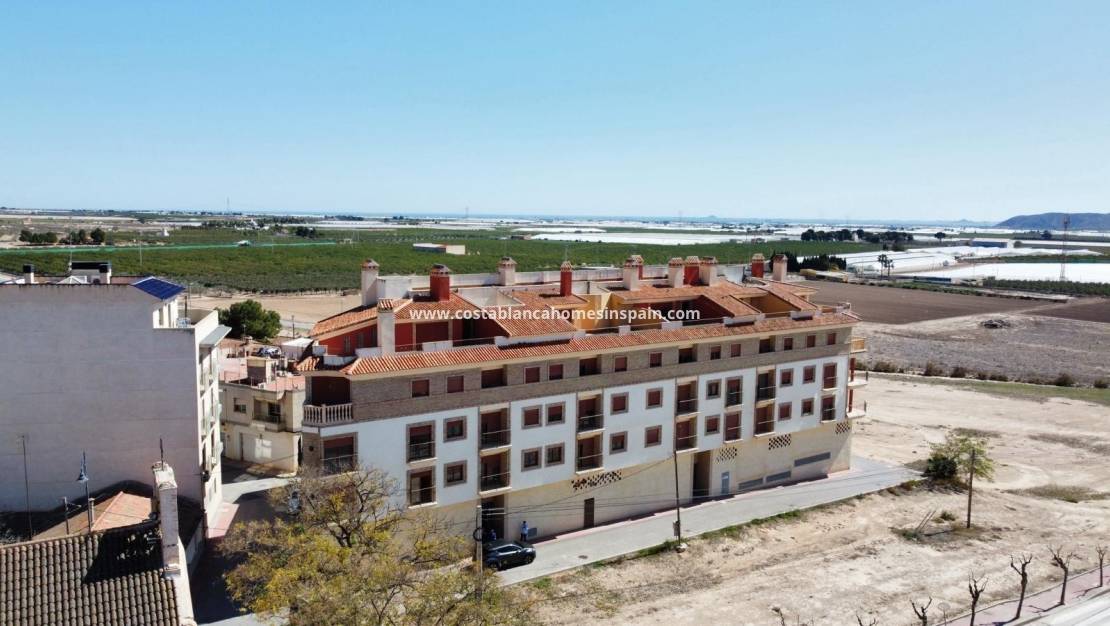 Új építésű - Apartment - Avileses - pueblo