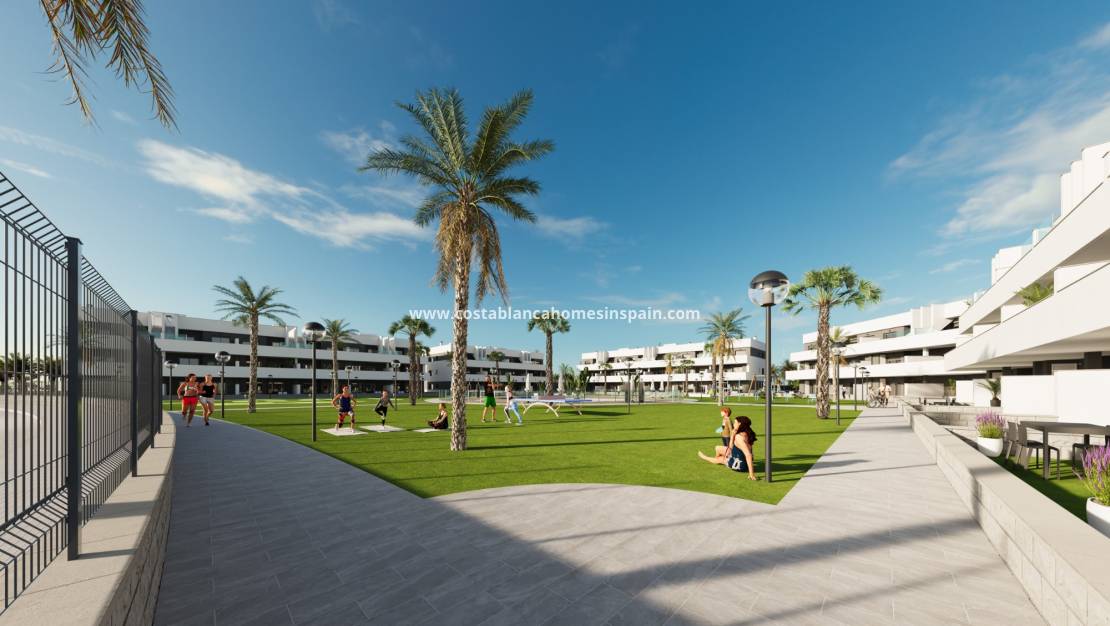 Új építésű - Apartment - Guardamar del Segura - El Raso