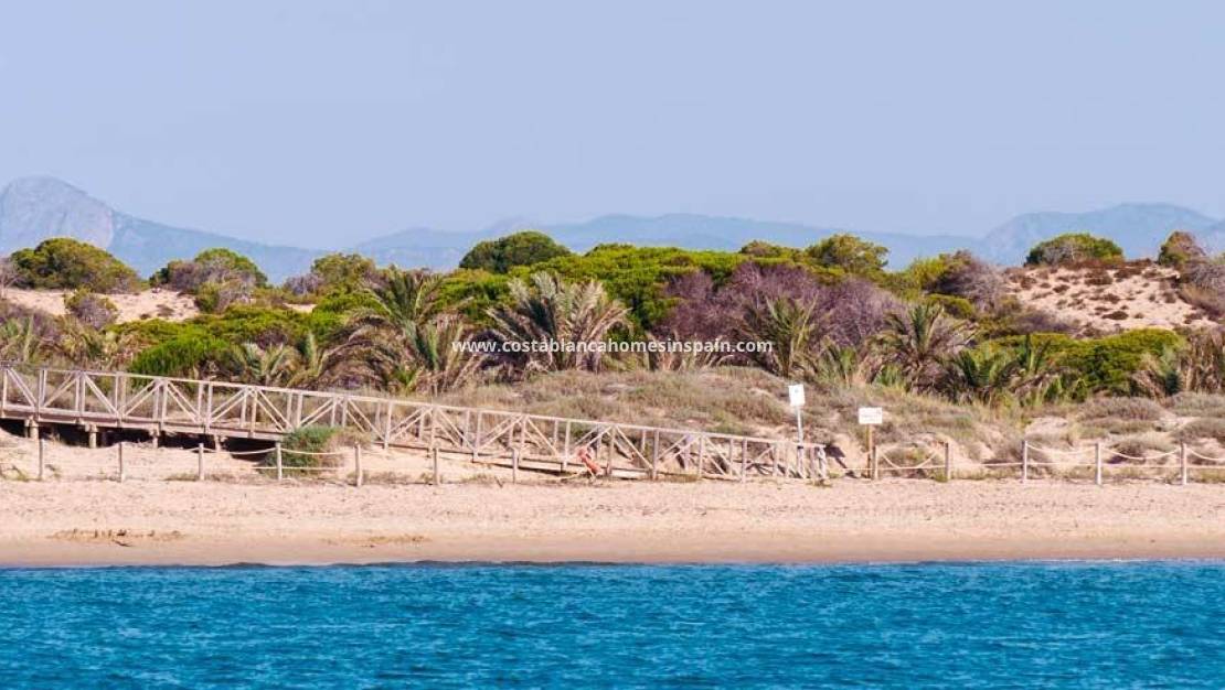 Új építésű - Apartment - Guardamar del Segura - Pueblo