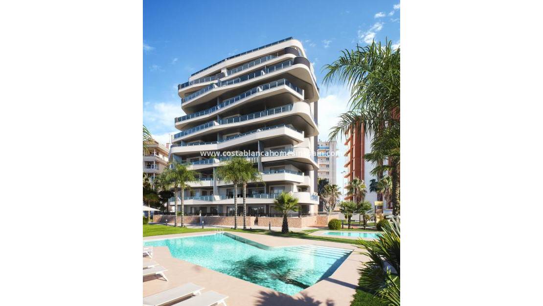 Új építésű - Apartment - Guardamar del Segura - PUERTO