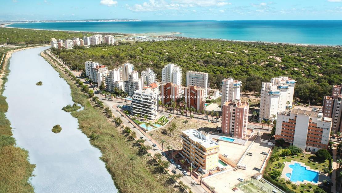 Új építésű - Apartment - Guardamar del Segura - PUERTO
