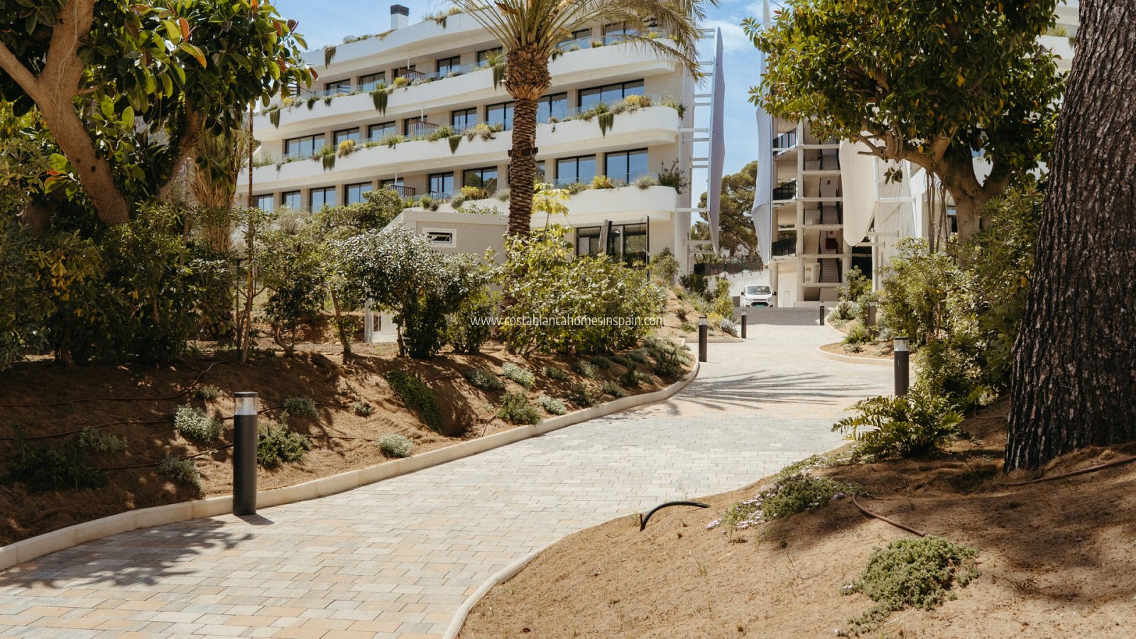 Új építésű - Apartment - lAlfas del Pi - 