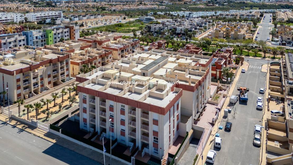 Új építésű - Apartment - Lomas de Cabo Roig