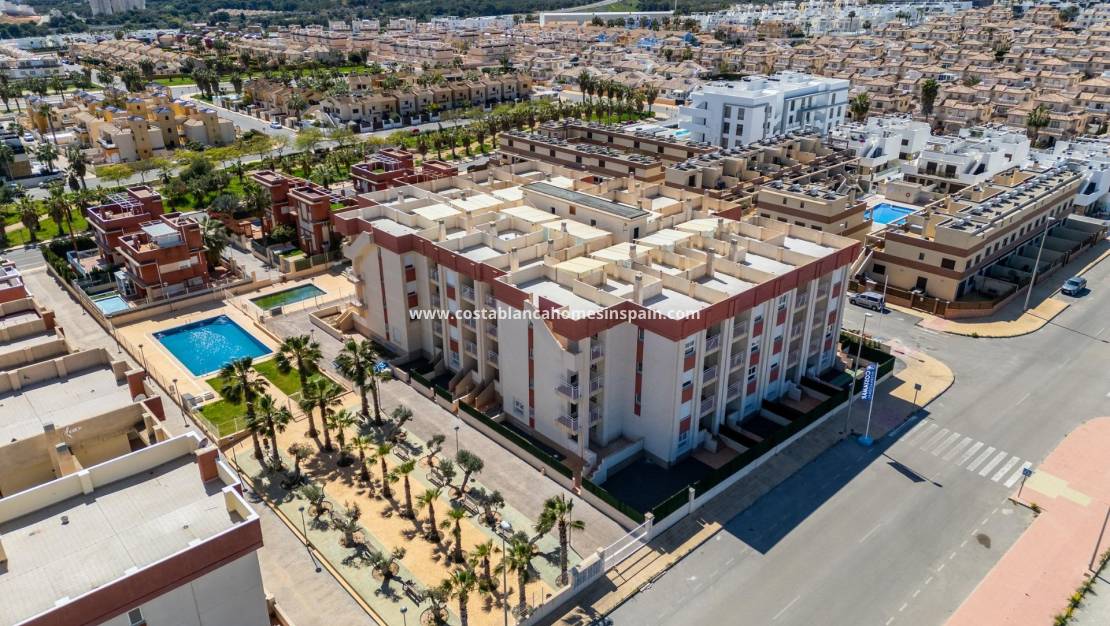 Új építésű - Apartment - Lomas de Cabo Roig