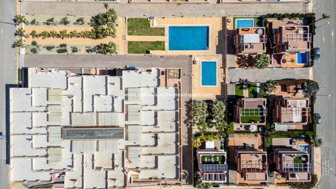 Új építésű - Apartment - Lomas de Cabo Roig