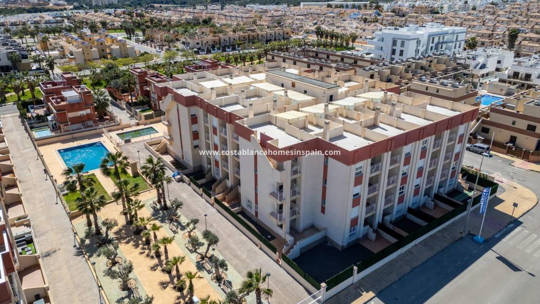 Új építésű - Apartment - Lomas de Cabo Roig