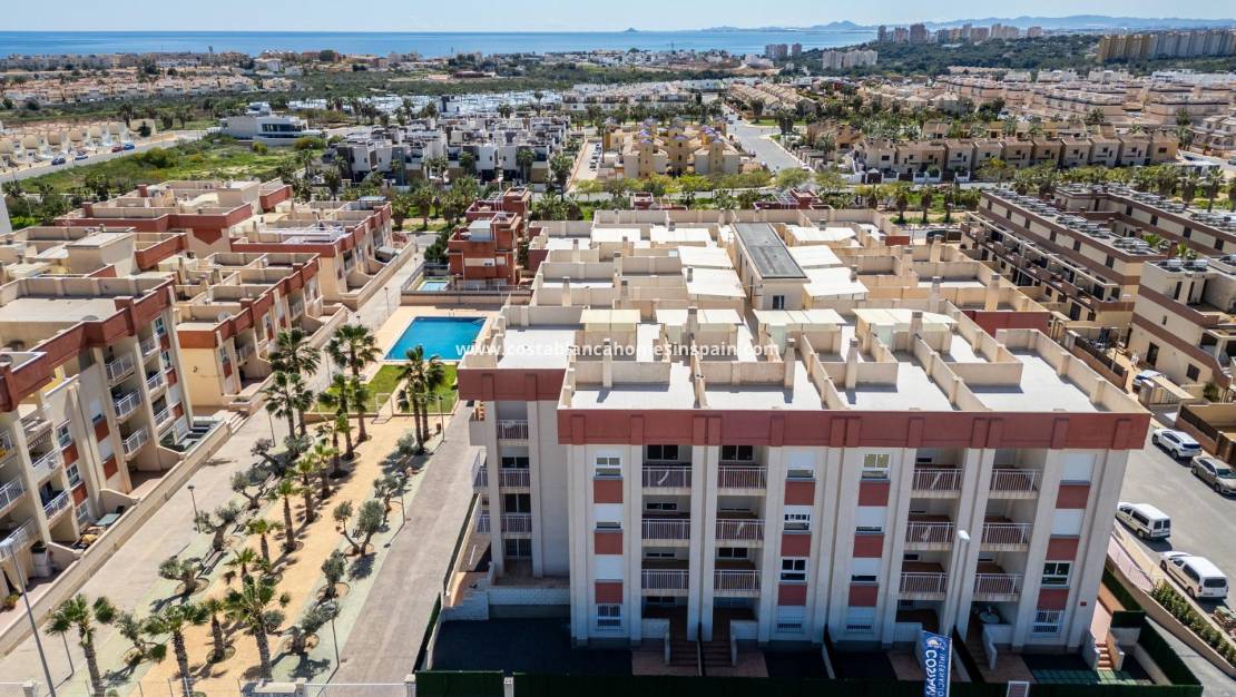 Új építésű - Apartment - Lomas de Cabo Roig