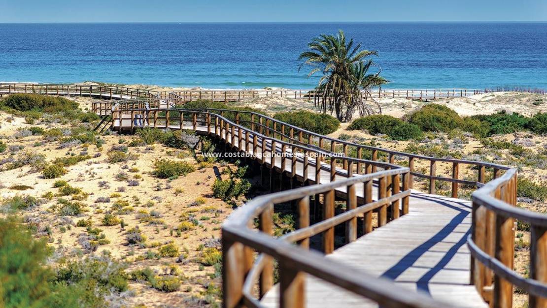 Új építésű - Apartment - Monforte del Cid - Alenda Golf