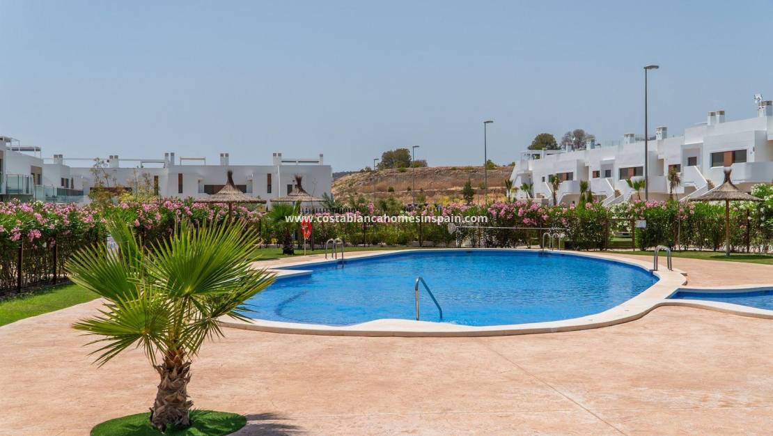 Új építésű - Apartment - Orihuela - Vistabella Golf