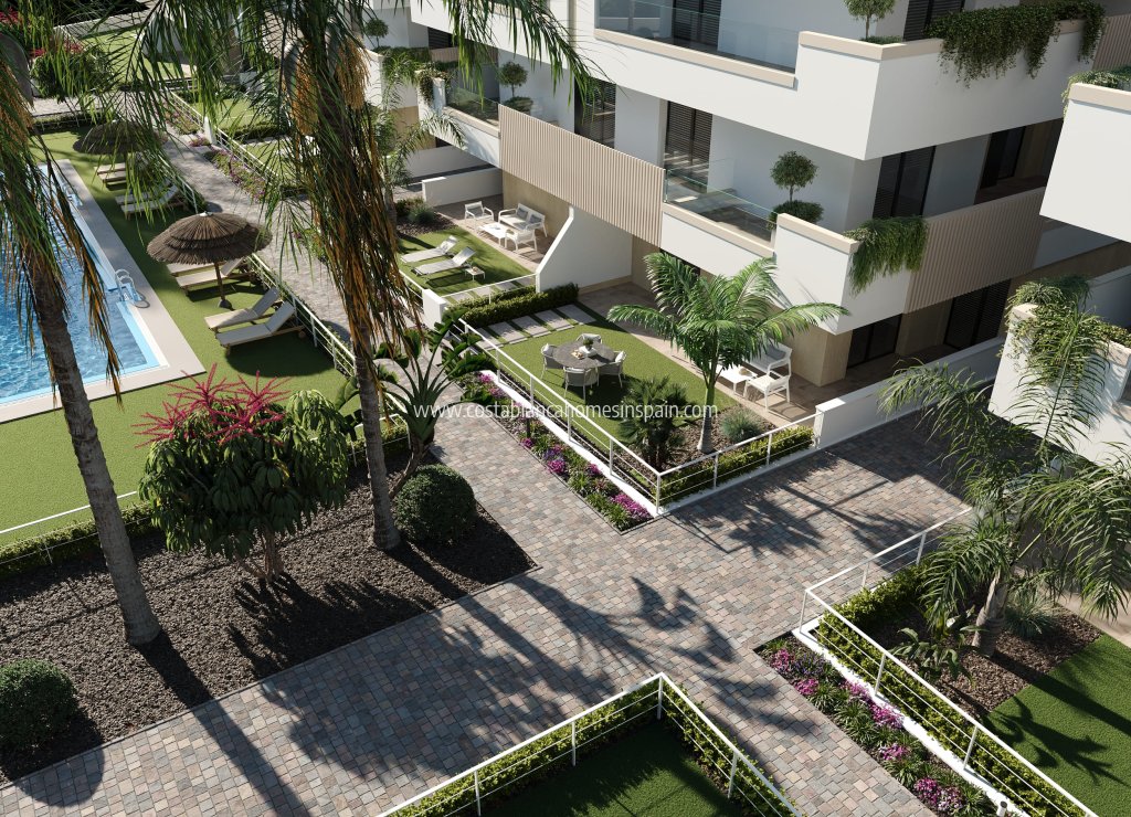 Új építésű - Apartment - Santa Rosalia