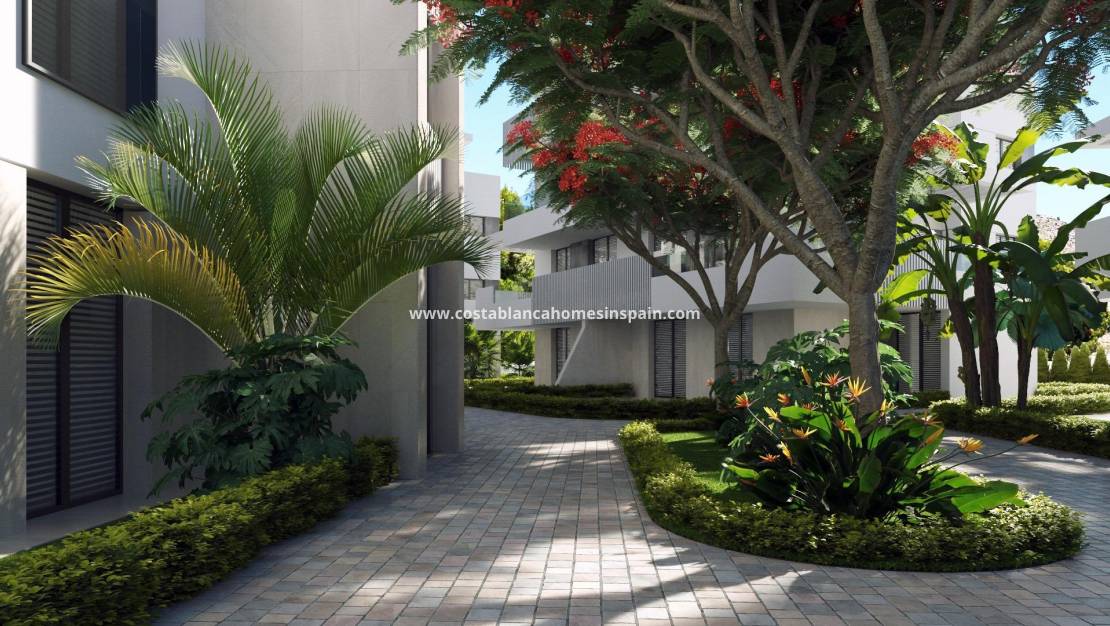 Új építésű - Apartment - Torre Pacheco - Santa Rosalia Lake And Life Resort