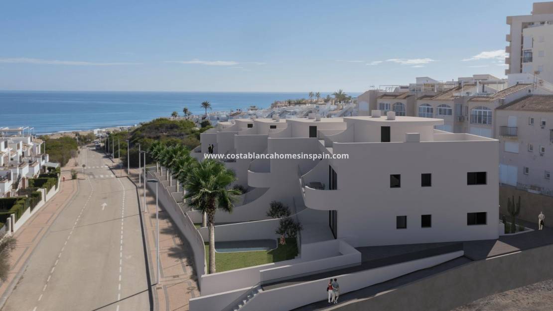Új építésű - Apartment - Torrevieja - La Mata-La Manguilla
