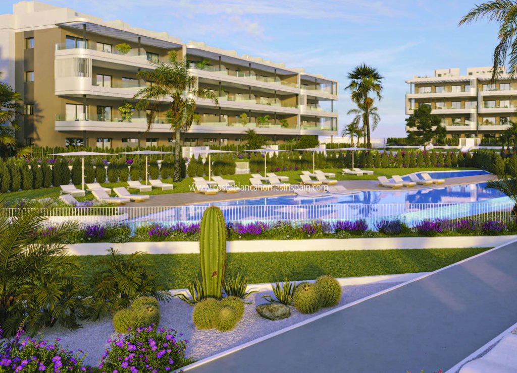 Új építésű - Apartment - Torrevieja