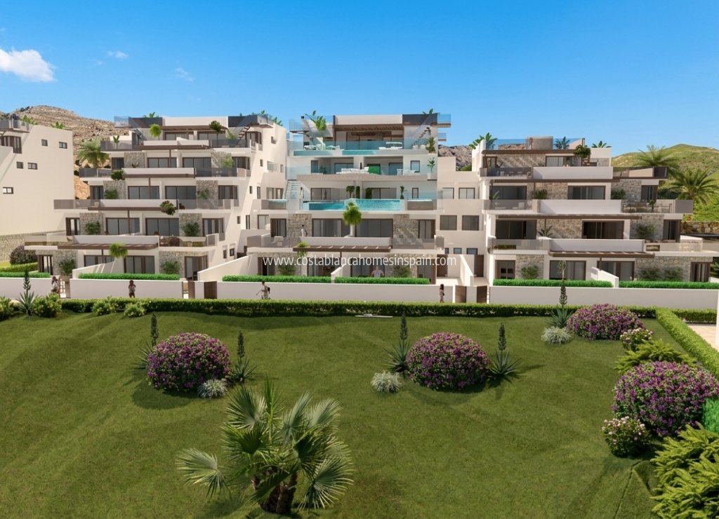 Új építésű - Apartment - Vera