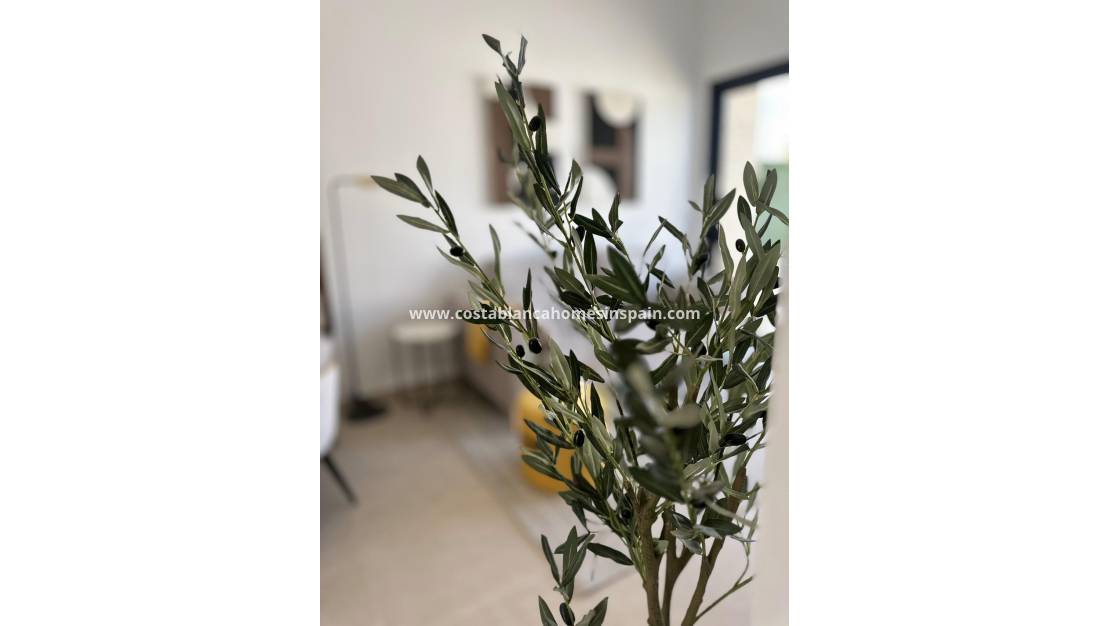 Új építésű - Bungalow - San Fulgencio - Pueblo