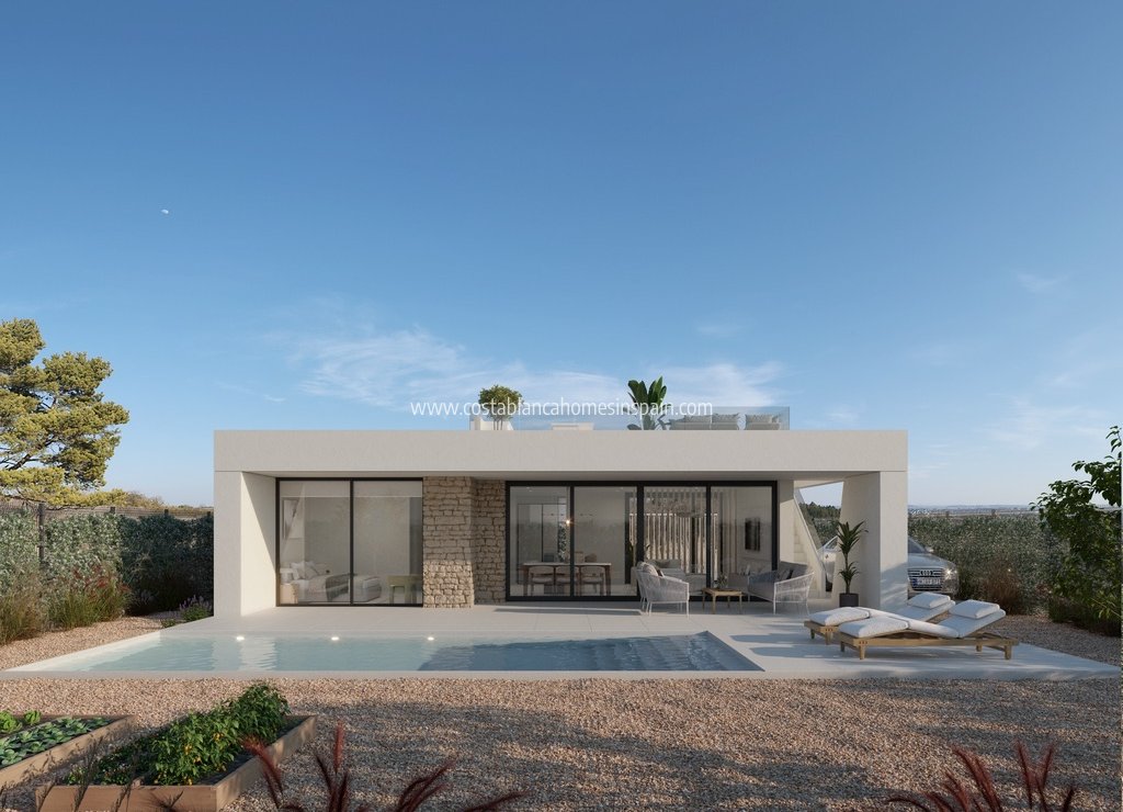 Új építésű - Detached Villa - 