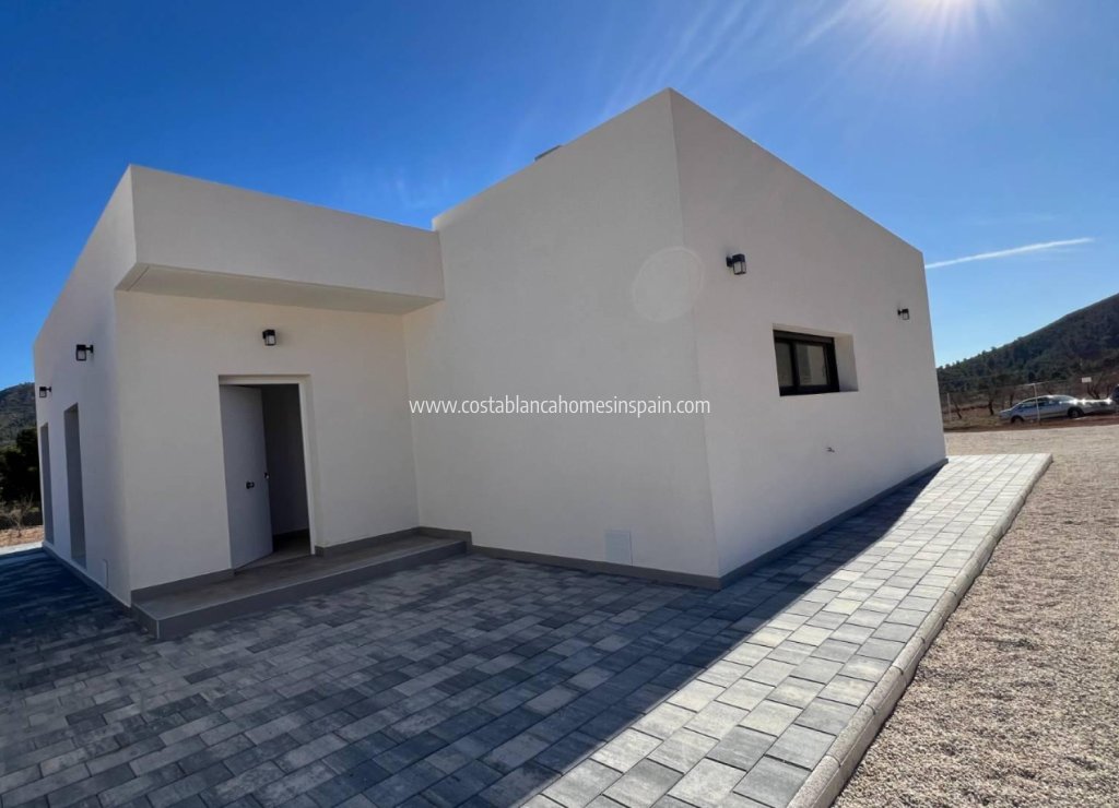 Új építésű - Detached Villa - 