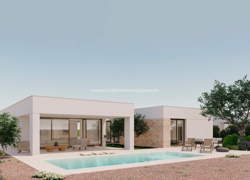 Új építésű - Detached Villa - 