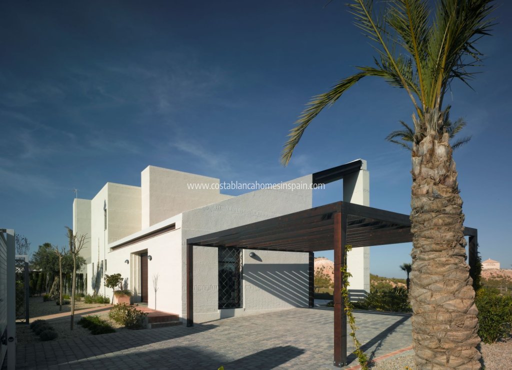 Új építésű - Detached Villa - 