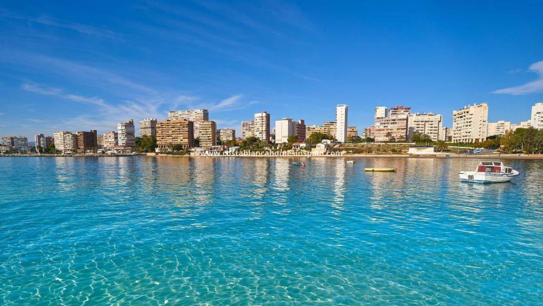 Új építésű -  - Els Poblets - Partida Barranquets