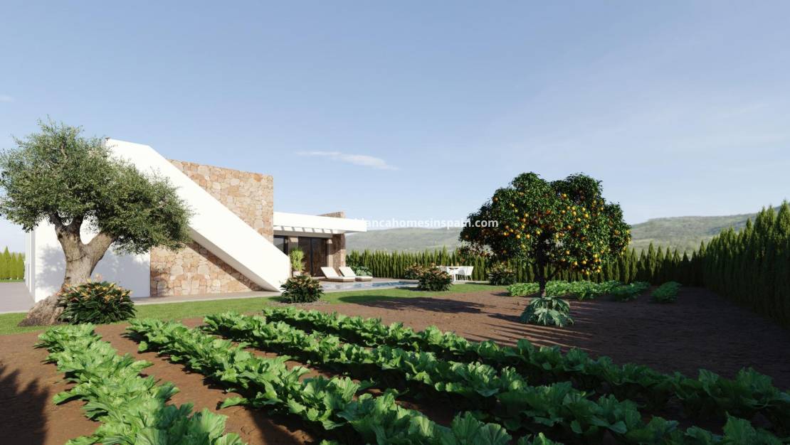 Új építésű -  - Fuente Álamo - Hacienda del Alamo