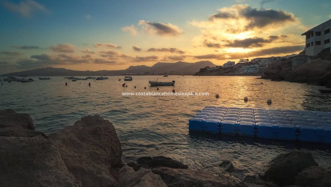 Új építésű -  - San Juan de los Terreros