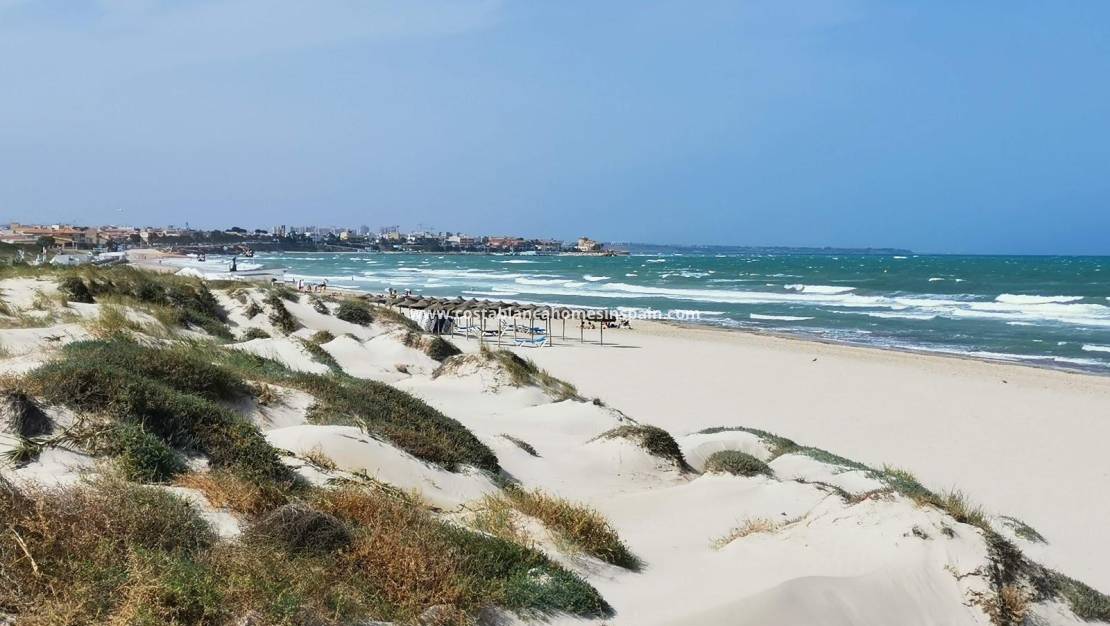 Új építésű - villa - Pilar de la Horadada