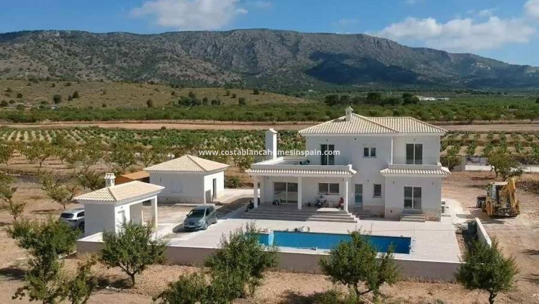 Új építésű - villa - Pinoso - Camino Del Prado