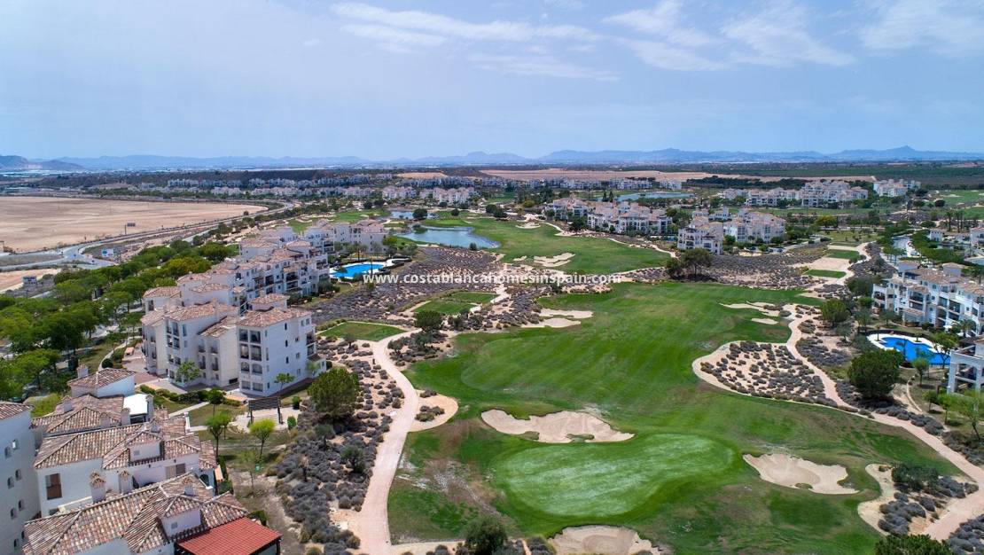 Új építésű - villa - Sucina