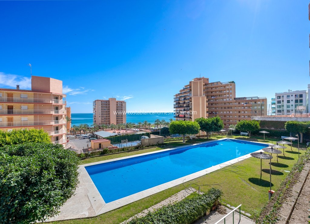 Venta - Apartment - Arenales del sol - Segunda linea playa