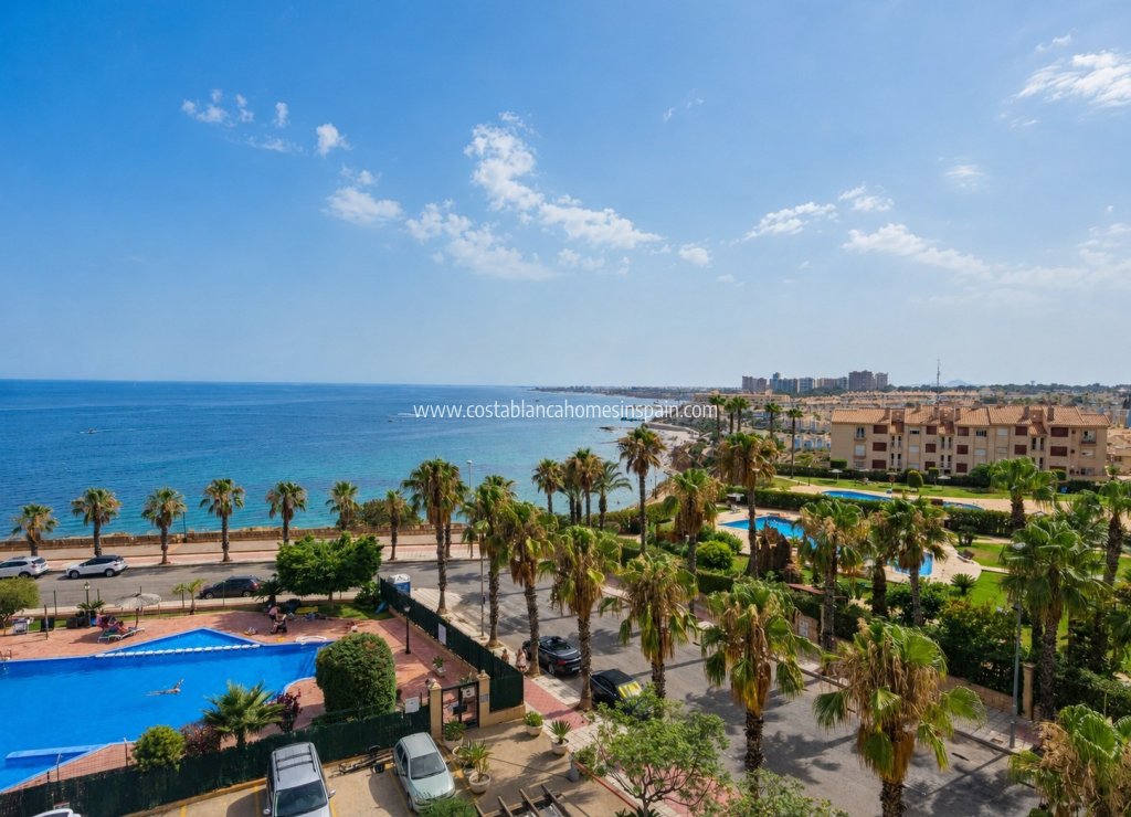 Venta - Apartment - Orihuela Costa - Agua Marina