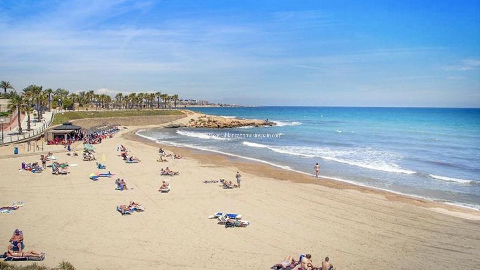 Venta - Apartment - Orihuela - Costa Blanca