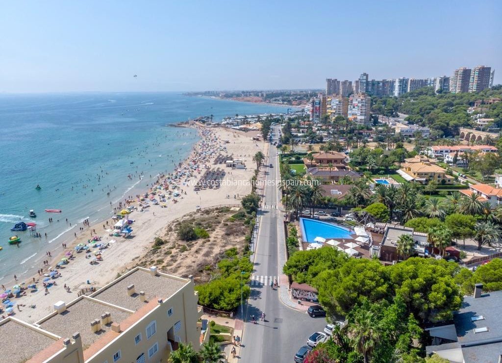 Venta - Apartment - Orihuela Costa - Campoamor