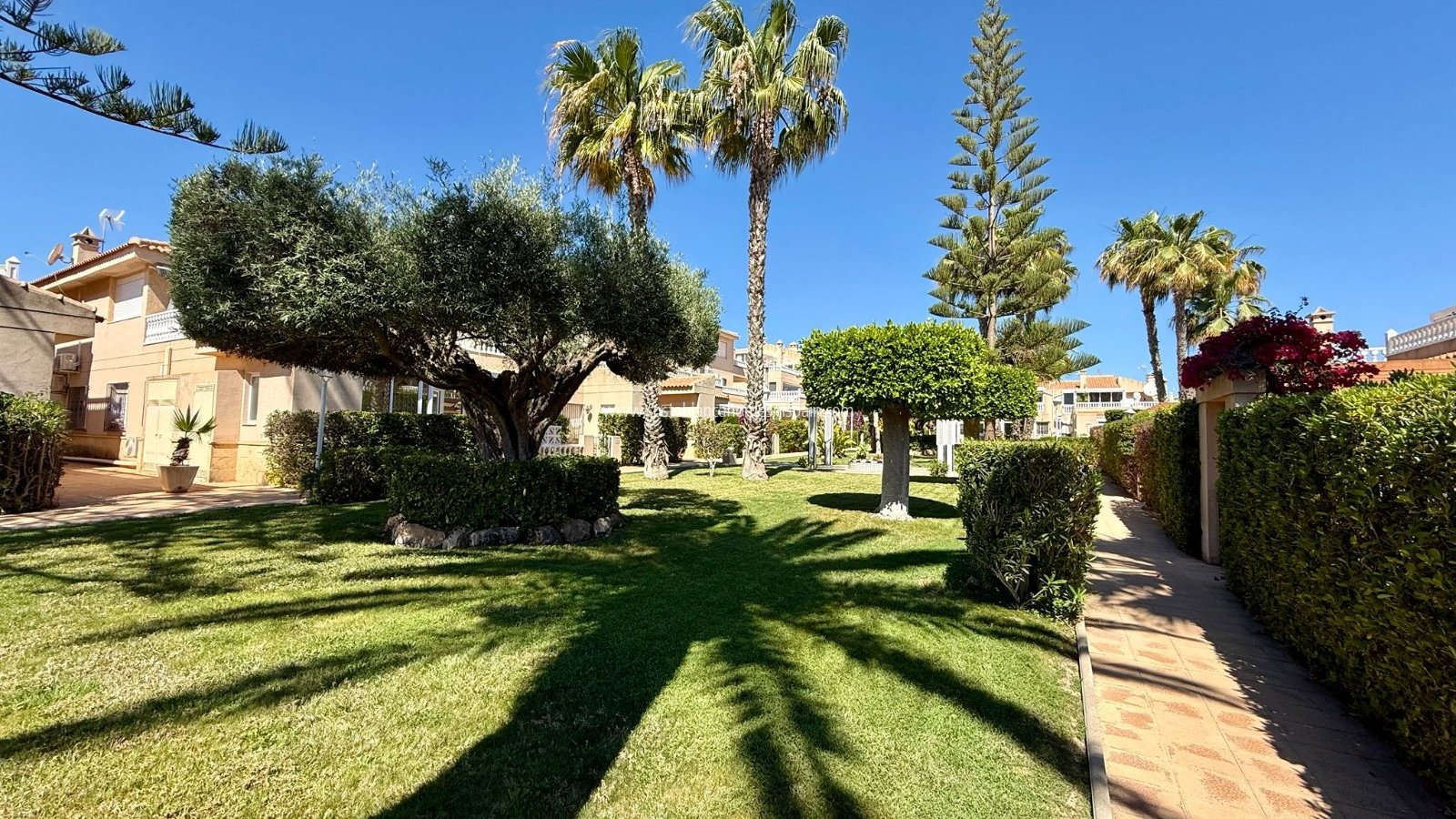 Venta - Apartment - Orihuela Costa - Playa Flamenca
