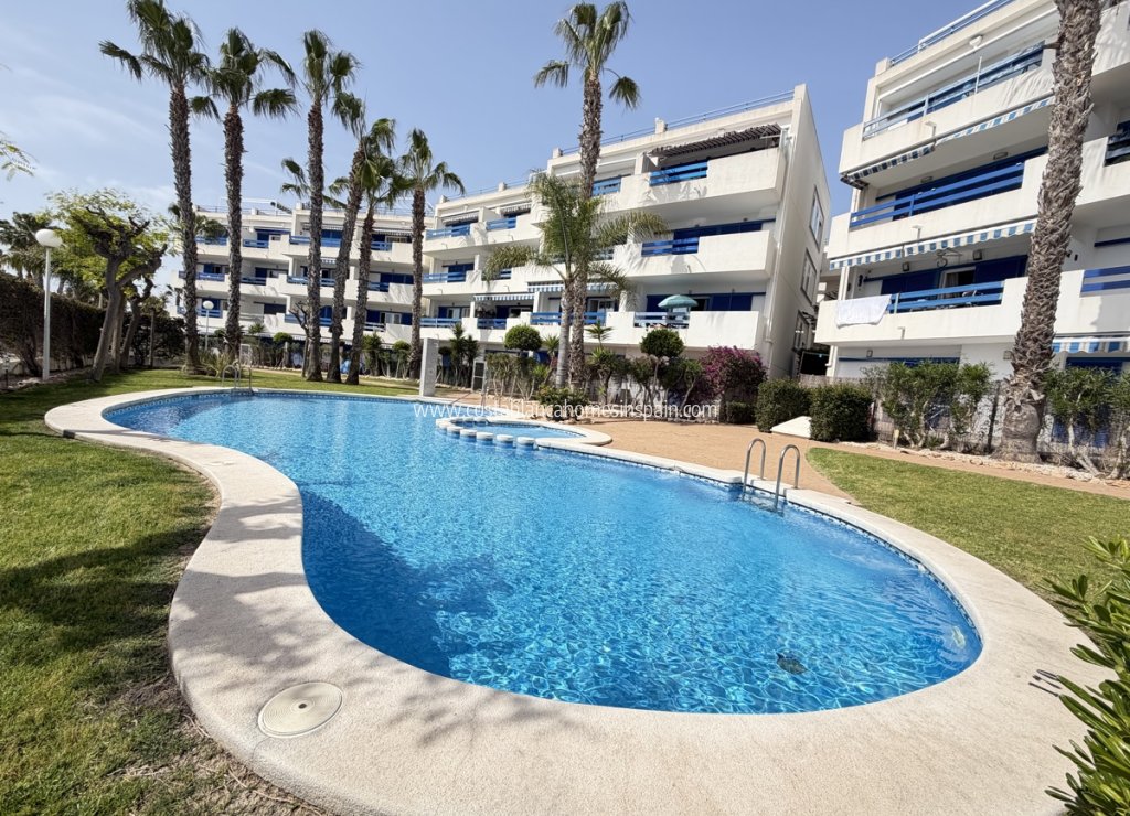 Venta - Apartment - Playa Flamenca - Orihuela Costa