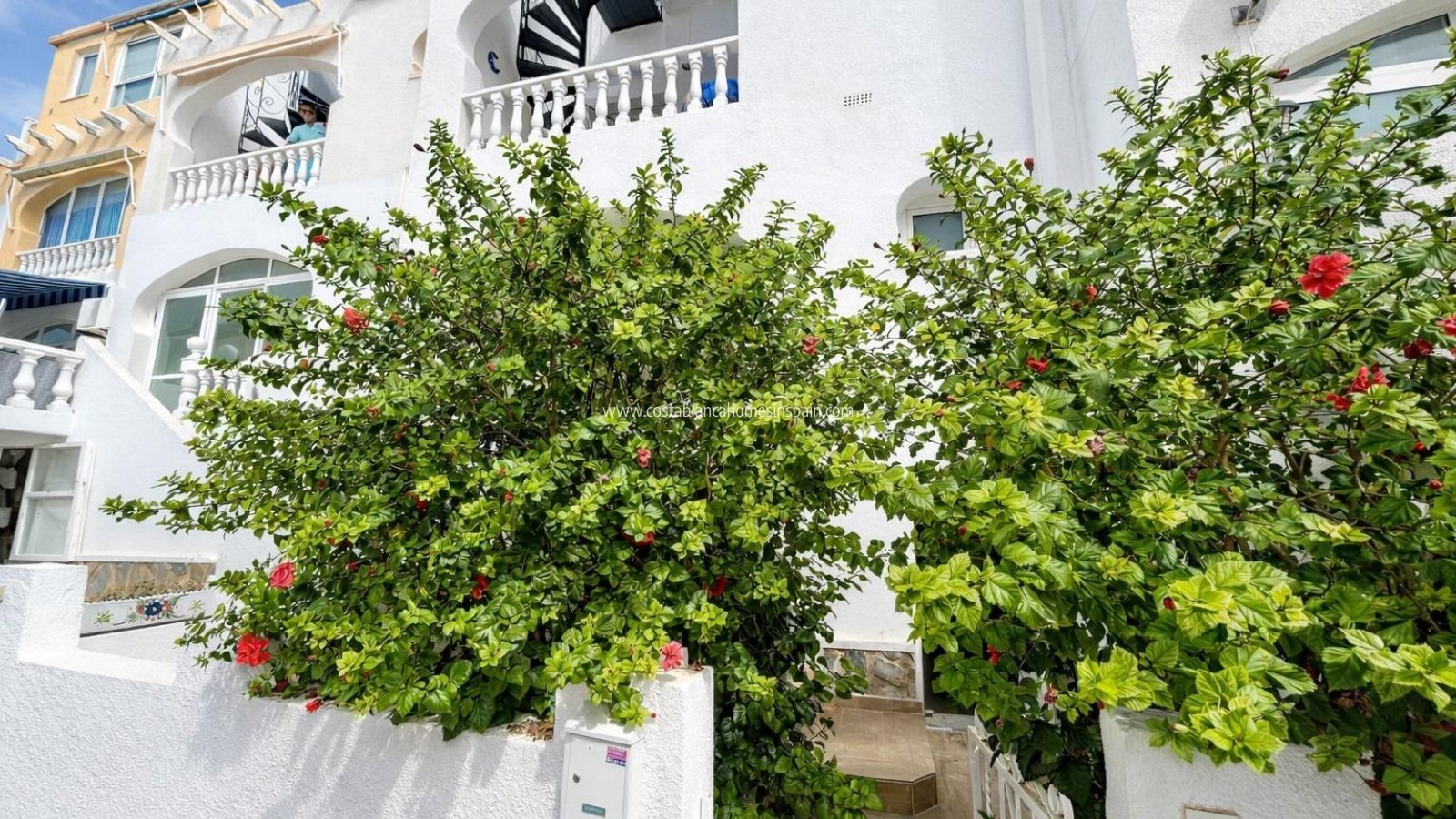 Venta - Apartment - San Miguel de Salinas - Las filipinas