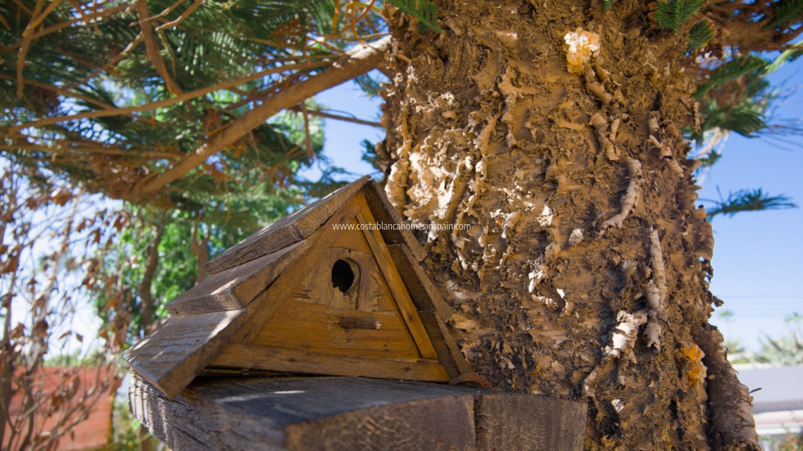 Venta - Detached Villa - Torrevieja - La Siesta