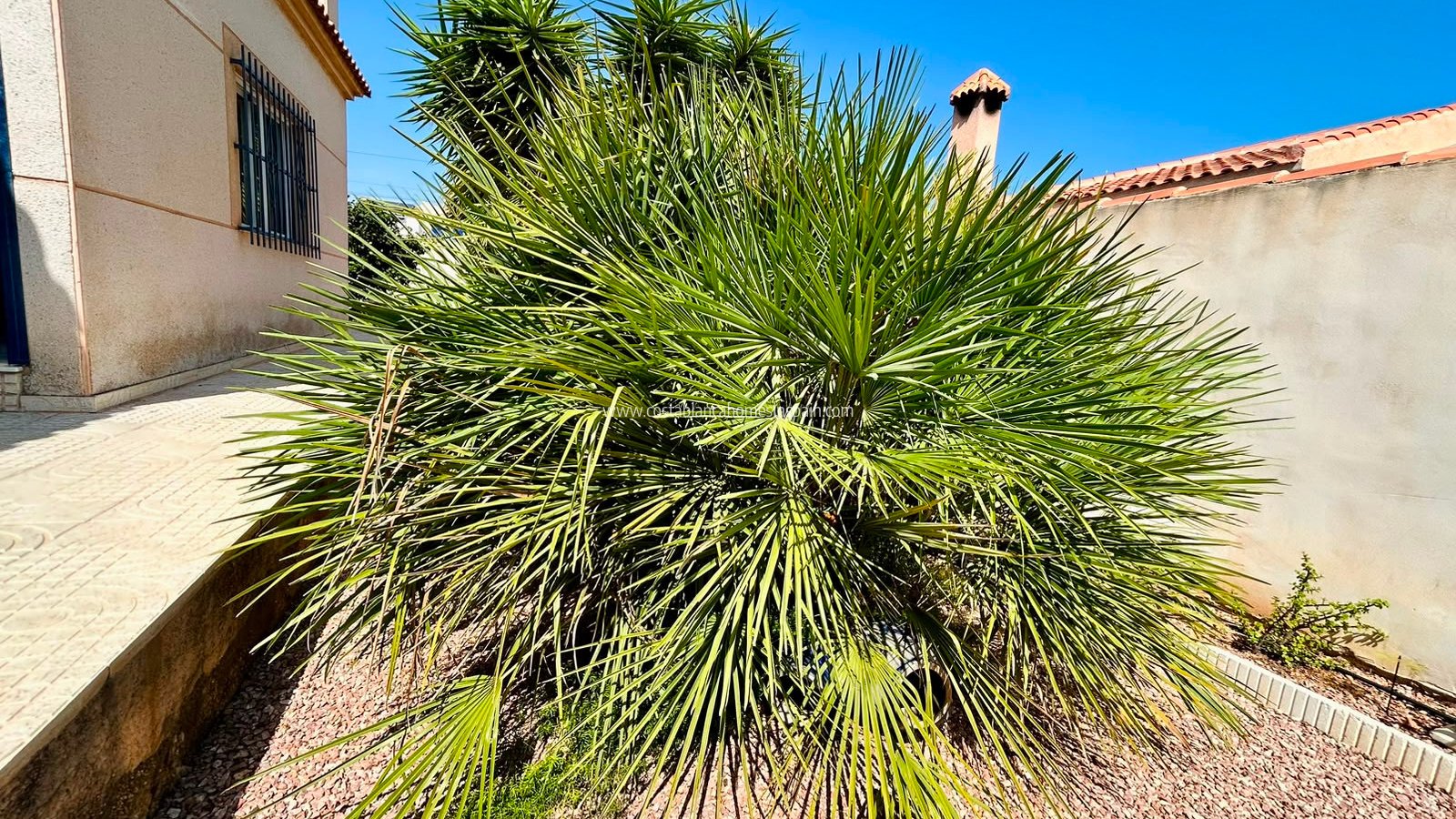 Venta - Detached Villa - Torrevieja - Urbanización San Luis