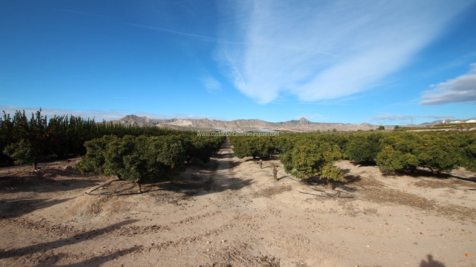 Venta - Finca - MURCIA REGION - Costa Blanca Sur