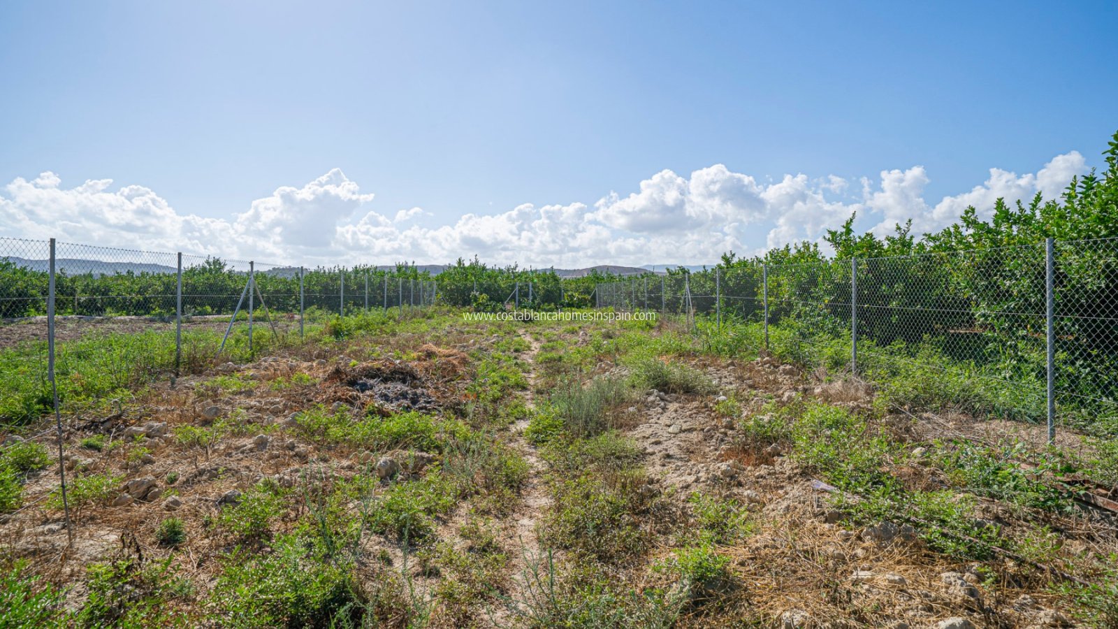 Venta - Finca - MURCIA REGION - MURCIA