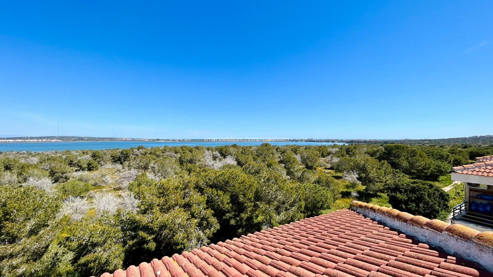 Venta - studio apartment - Torrevieja - El chaparral