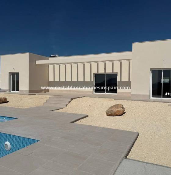 villa - New Build - Pinoso - Camino Del Prado
