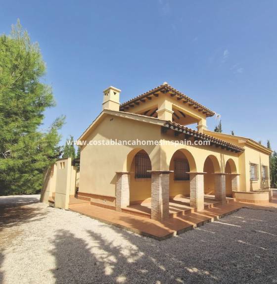 Villa - Nýbygging - Fuente alamo de Murcia - LAS PALAS