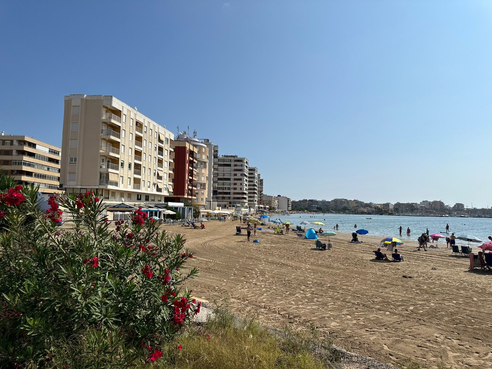 Apartment in Torrevieja - Image 2